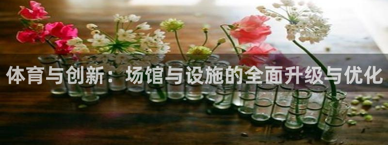 意昂4集团简介：体育与创新：场馆与设施的全面升级与优