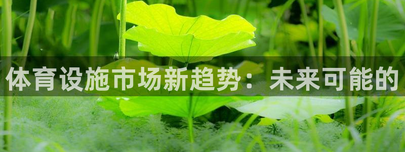 意昂体育4招商电话号码：体育设施市场新趋势：未来可能