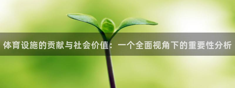 意昂4集团官网首页网址：体育设施的贡献与社会价值：一
