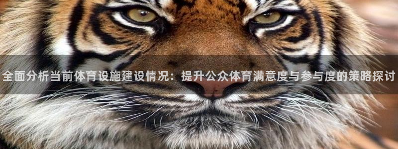 意昂体育4招商电话号码查询是多少：全面分析当前体育设