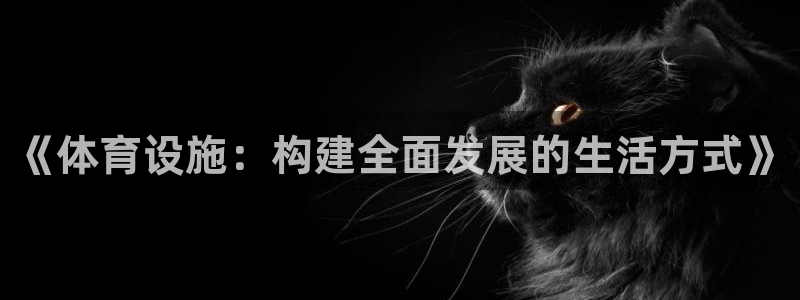 意昂4娱乐平台：《体育设施：构建全面发展的生活方式》