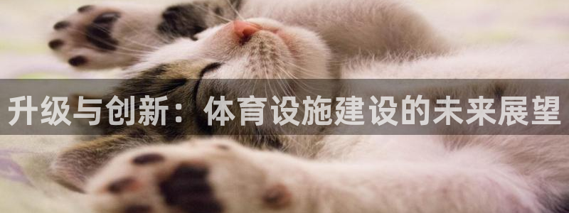 意昂4开户：升级与创新：体育设施建设的未来展望