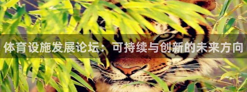 意昂4娱乐：体育设施发展论坛：可持续与创新的未来方向