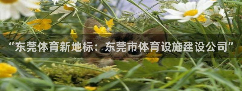 意昂体育4软件：“东莞体育新地标：东莞市体育设施建设