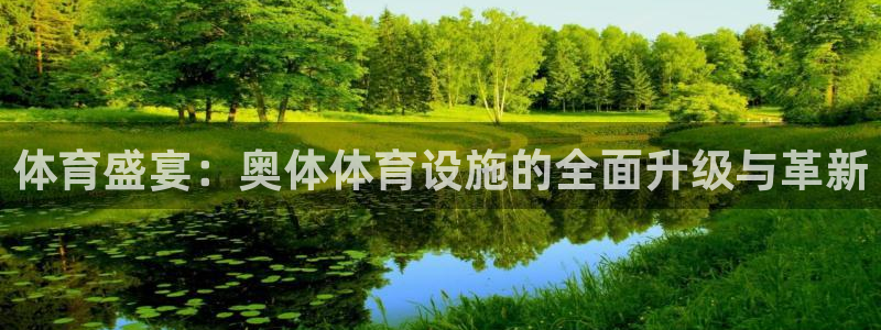 意昂体育4平台假的吗是真的吗：体育盛宴：奥体体育设施的全面升
