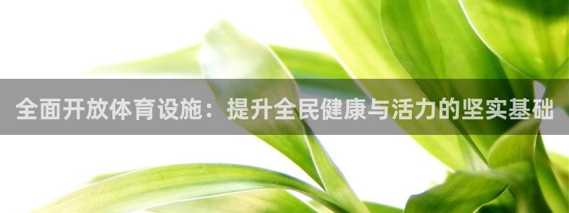 意昂4集团：全面开放体育设施：提升全民健康与活力的坚