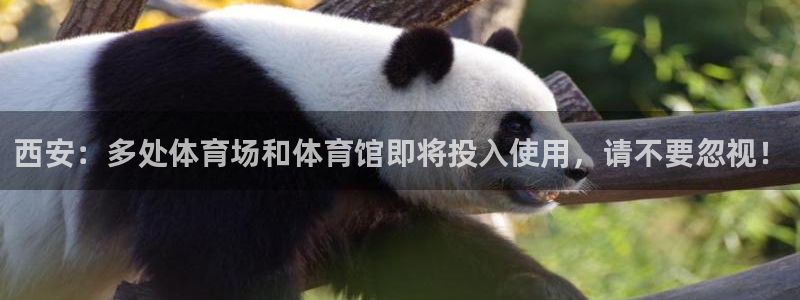 意昂4集团：西安：多处体育场和体育馆即将投入使用，请不要忽视