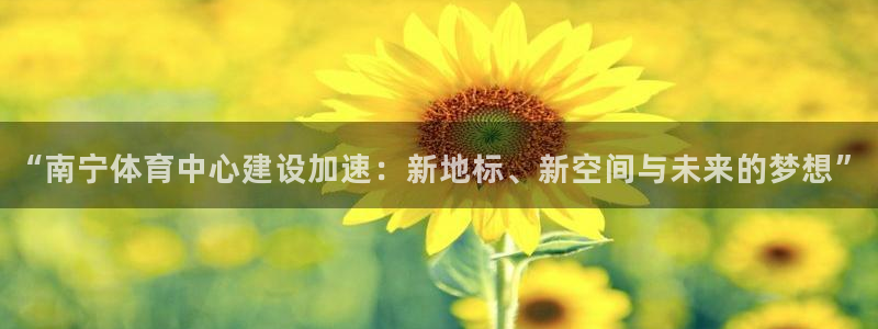 意昂4新能源：“南宁体育中心建设加速：新地标、新空间与未来的