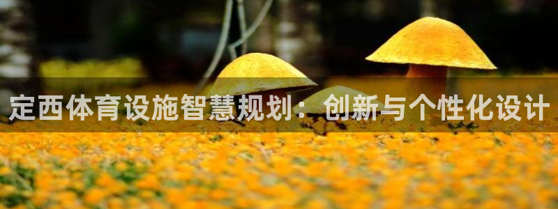 意昂4娱乐下载：定西体育设施智慧规划：创新与个性化设计 