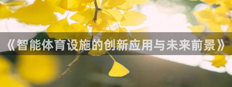意昂4娱乐代理怎么样：《智能体育设施的创新应用与未来
