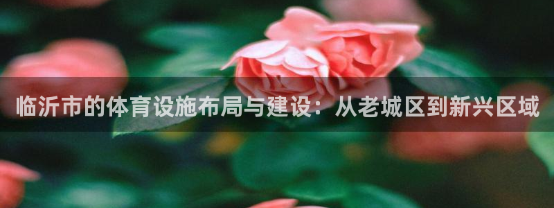 意昂体育4平台注册要钱吗：临沂市的体育设施布局与建设