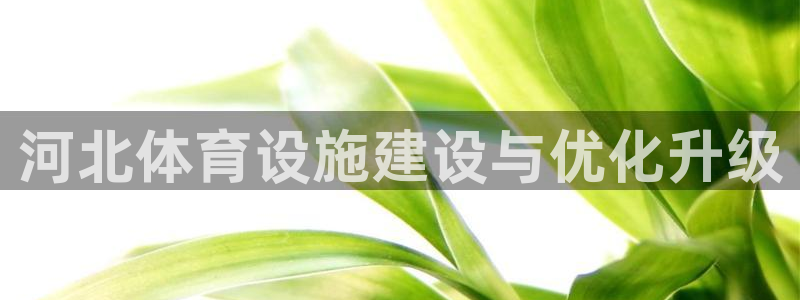 意昂4娱乐40996：河北体育设施建设与优化升级