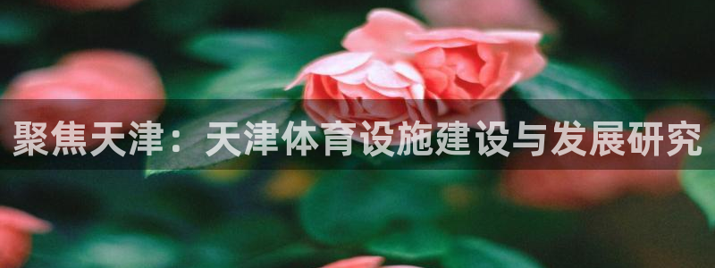 意昂体育4招商电话是多少号码