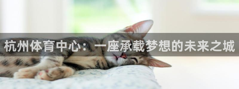意昂体育4是干嘛的公司：杭州体育中心：一座承载梦想的
