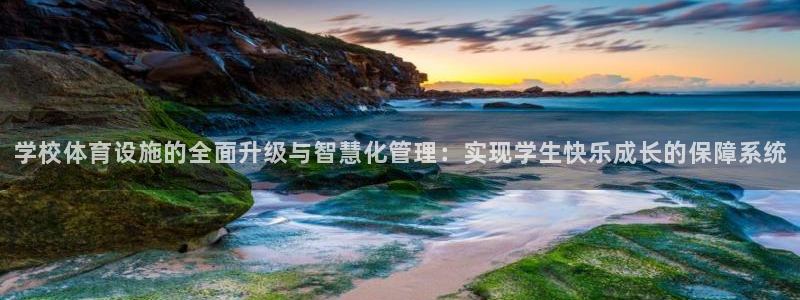 意昂4新能源