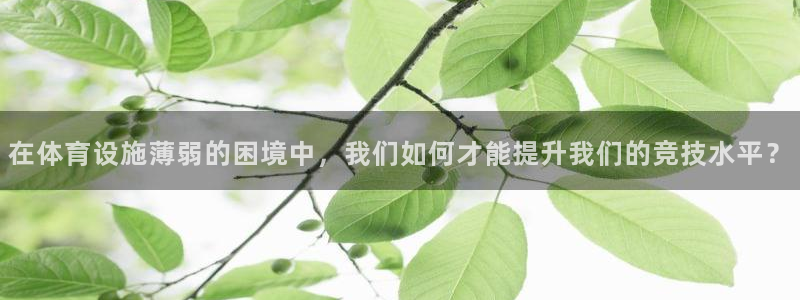意昂体育4平台假的吗是真的吗