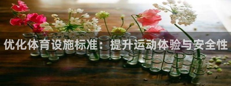 意昂4新能源