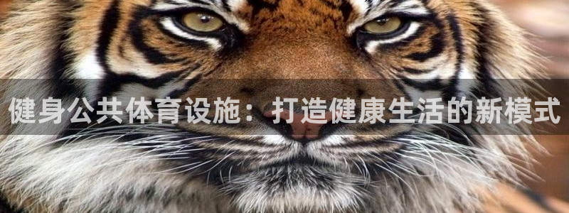 意昂体育4招商电话地址是多少：健身公共体育设施：打造