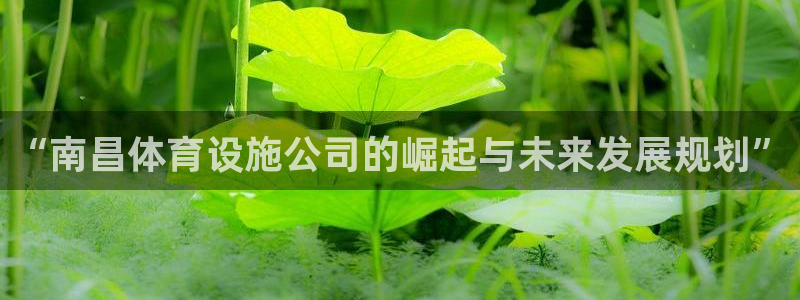 意昂体育4招商