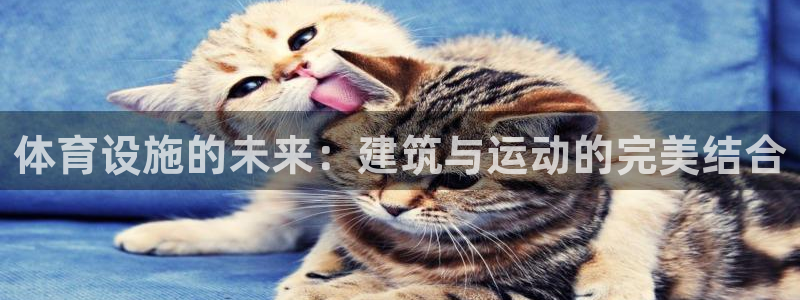 意昂4娱乐下载