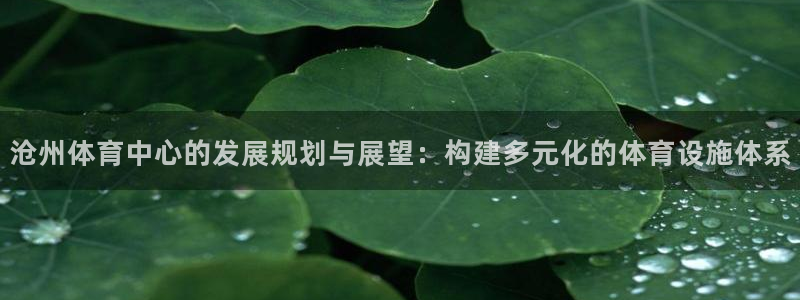 意昂体育4招商：沧州体育中心的发展规划与展望：构建多