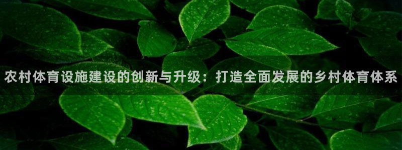 意昂体育4平台注册要钱吗安全吗：农村体育设施建设的创