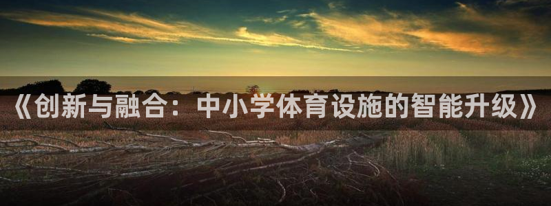 意昂4科技：《创新与融合：中小学体育设施的智能升级》