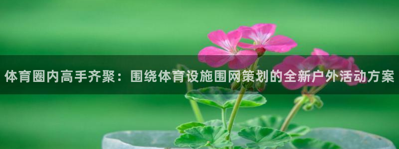 意昂体育4平台假的吗是真的吗吗：体育圈内高手齐聚：围绕体育设
