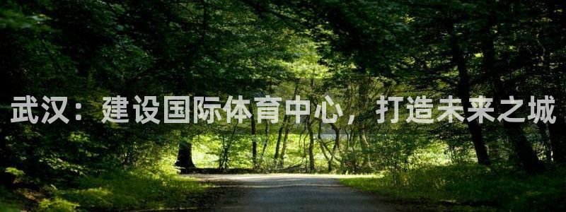 意昂4娱乐：武汉：建设国际体育中心，打造未来之城
