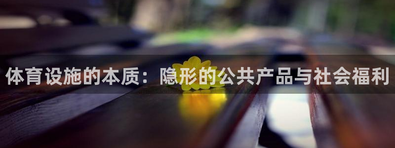 意昂体育4是干嘛的公司：体育设施的本质：隐形的公共产