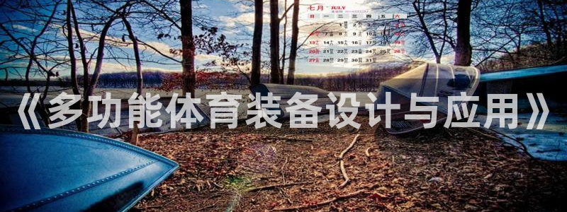 意昂4五金厂：《多功能体育装备设计与应用》