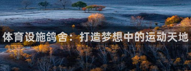 意昂4集团简介：体育设施鸽舍：打造梦想中的运动天地