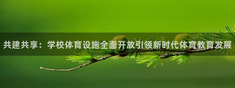 意昂4神州
