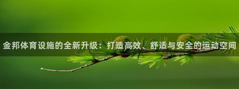 意昂4娱乐是那个系列的台子：金邦体育设施的全新升级：