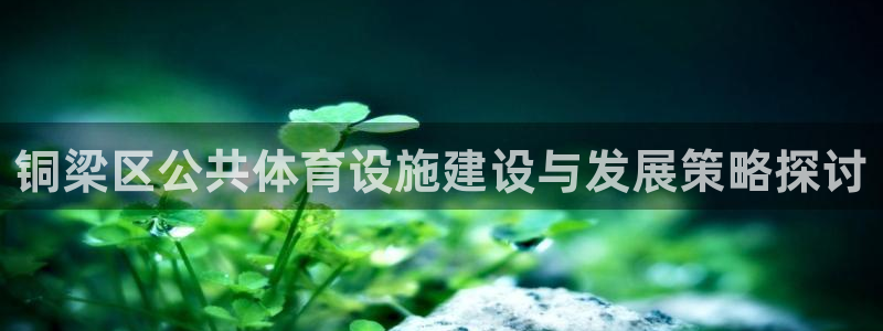 意昂4官网