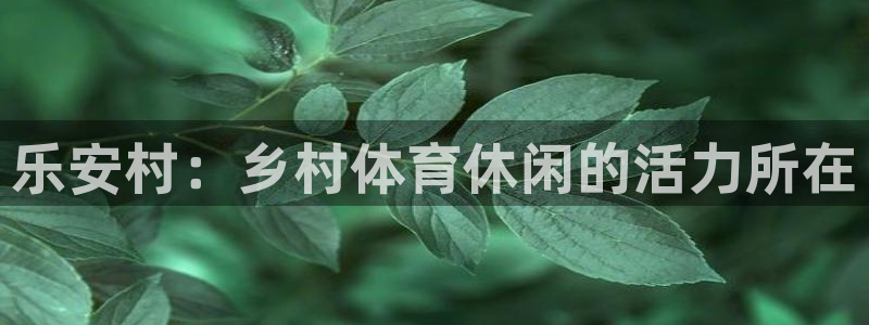 意昂体育4平台是正规平台吗知乎