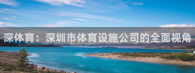 意昂体育4：深体育：深圳市体育设施公司的全面视角