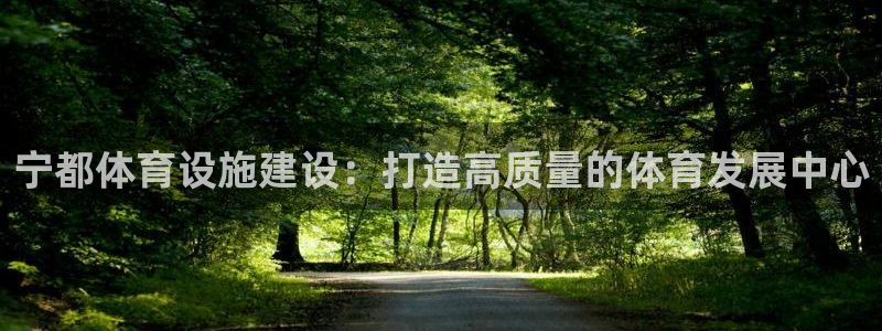 意昂4官网：宁都体育设施建设：打造高质量的体育发展中心 