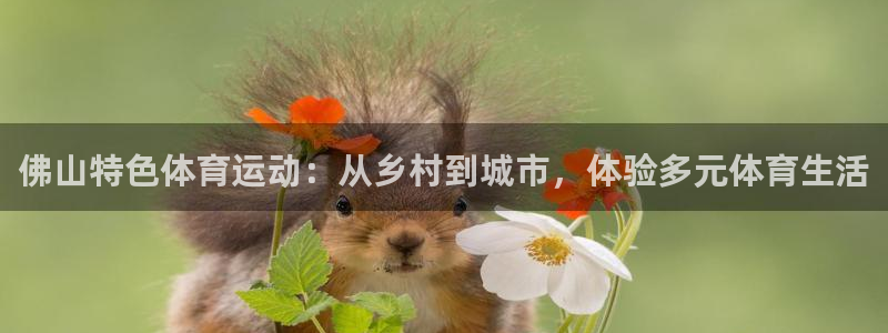 意昂体育4招商电话号码查询：佛山特色体育运动：从乡村到城市，