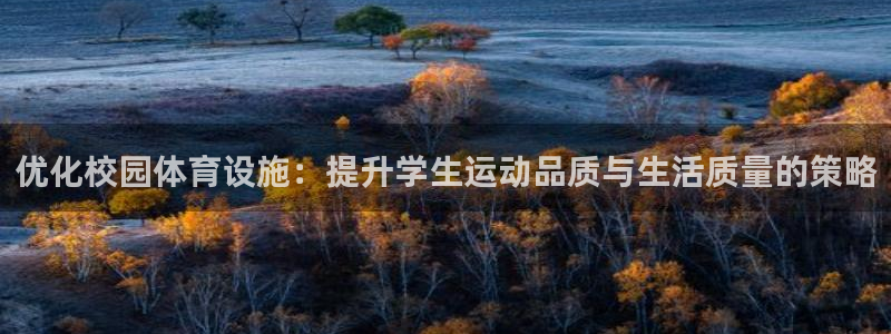 意昂体育4招商