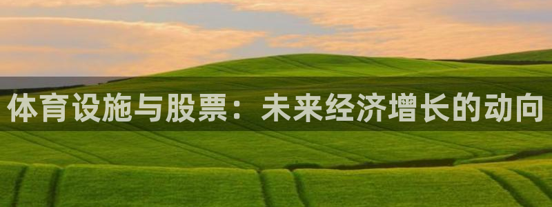 意昂4集团官网首页：体育设施与股票：未来经济增长的动