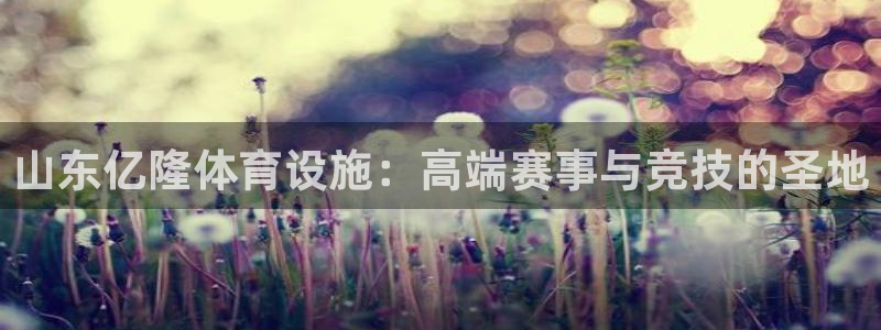 意昂体育4招商电话地址查询：山东亿隆体育设施：高端赛