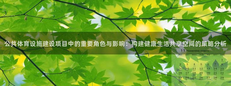 意昂体育4平台是正规平台吗：公共体育设施建设项目中的