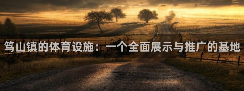 意昂4娱乐网站：笃山镇的体育设施：一个全面展示与推广