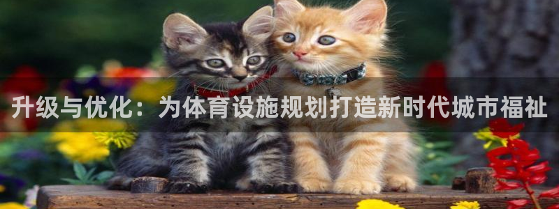 意昂体育4软件：升级与优化：为体育设施规划打造新时代