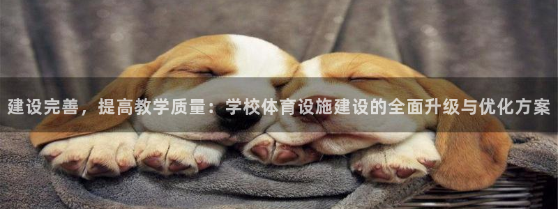 意昂体育4：建设完善，提高教学质量：学校体育设施建设
