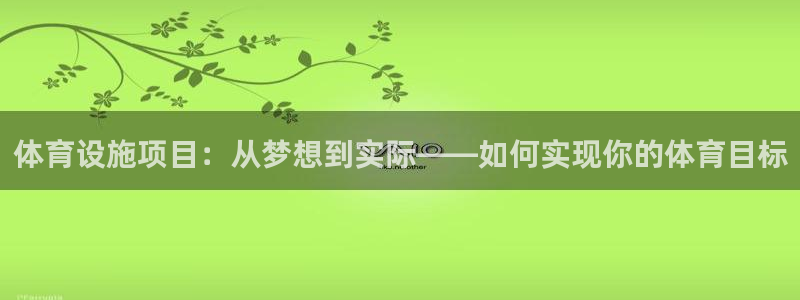 意昂4集团E.ON：体育设施项目：从梦想到实际——如