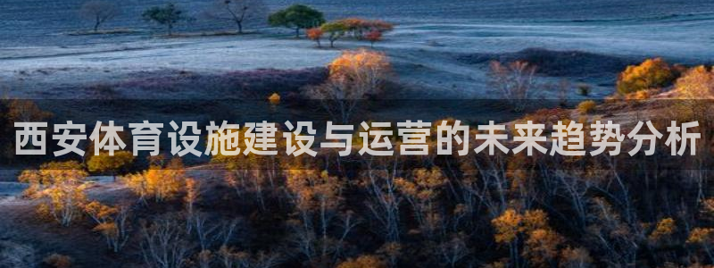 意昂4神州：西安体育设施建设与运营的未来趋势分析
