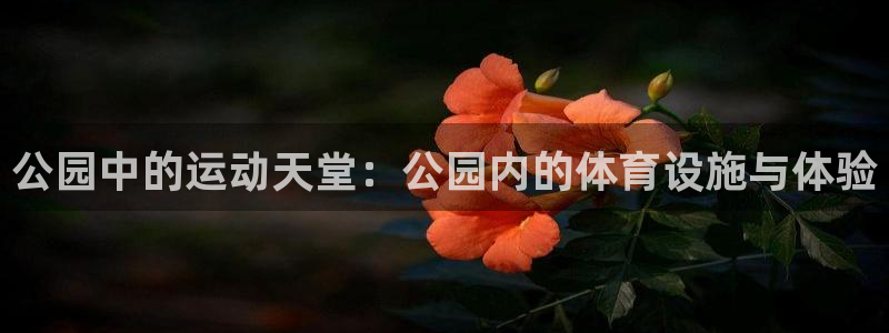 意昂4科技：公园中的运动天堂：公园内的体育设施与体验