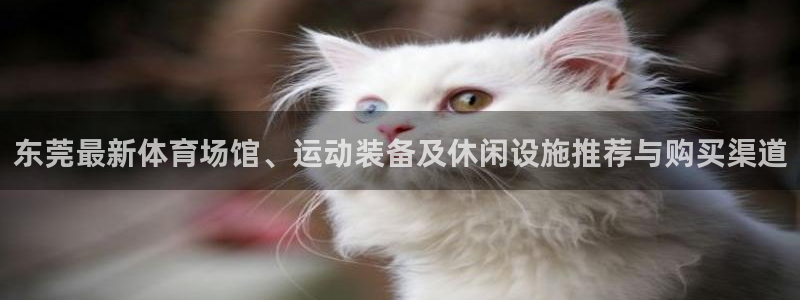 意昂体育4招商电话是多少啊：东莞最新体育场馆、运动装备及休闲